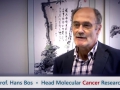 Mosa 2015_03b